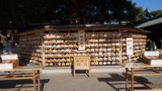 Rows of wooden wishing plates written by visitors